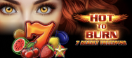 Hot To Burn 7 Deadly