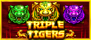 Triple Tigers