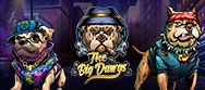 The Big Dawgs