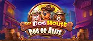 The Dog House – Dog or Alive