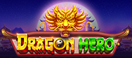 Dragon Hero
