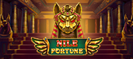 Nile Fortune