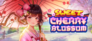 Sweet Cherry Blossom