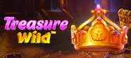 Treasure Wild