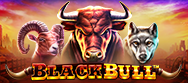 Black Bull
