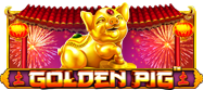 Golden Pig