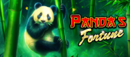 Panda’s Fortune