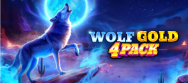Wolf Gold 4 Pack