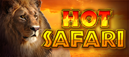 Hot Safari