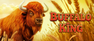 Buffalo King