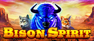 Bison Spirit