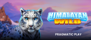 Himalayan Wild