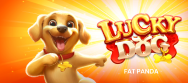 Lucky Dog