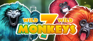 7 Monkeys