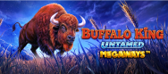BuffaloKing Untamed Mega