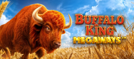 Buffalo King Megaways
