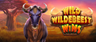 Wild Wildebeest Wins