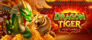 Dragon Tiger Fortunes