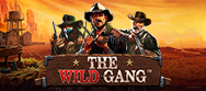 The Wild Gang