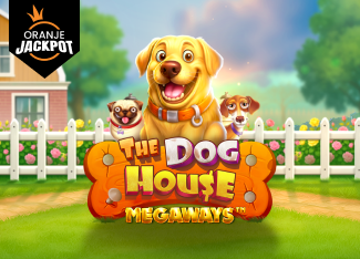 The Dog House Megaways™ – Oranje Jackpot