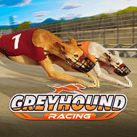 Greyhound Racing